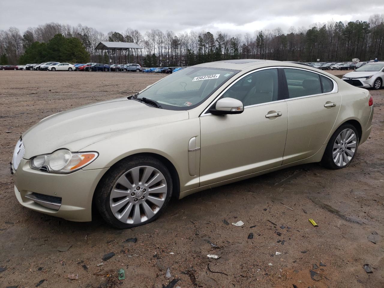 JAGUAR XF 2009 sajwa06b89hr06025