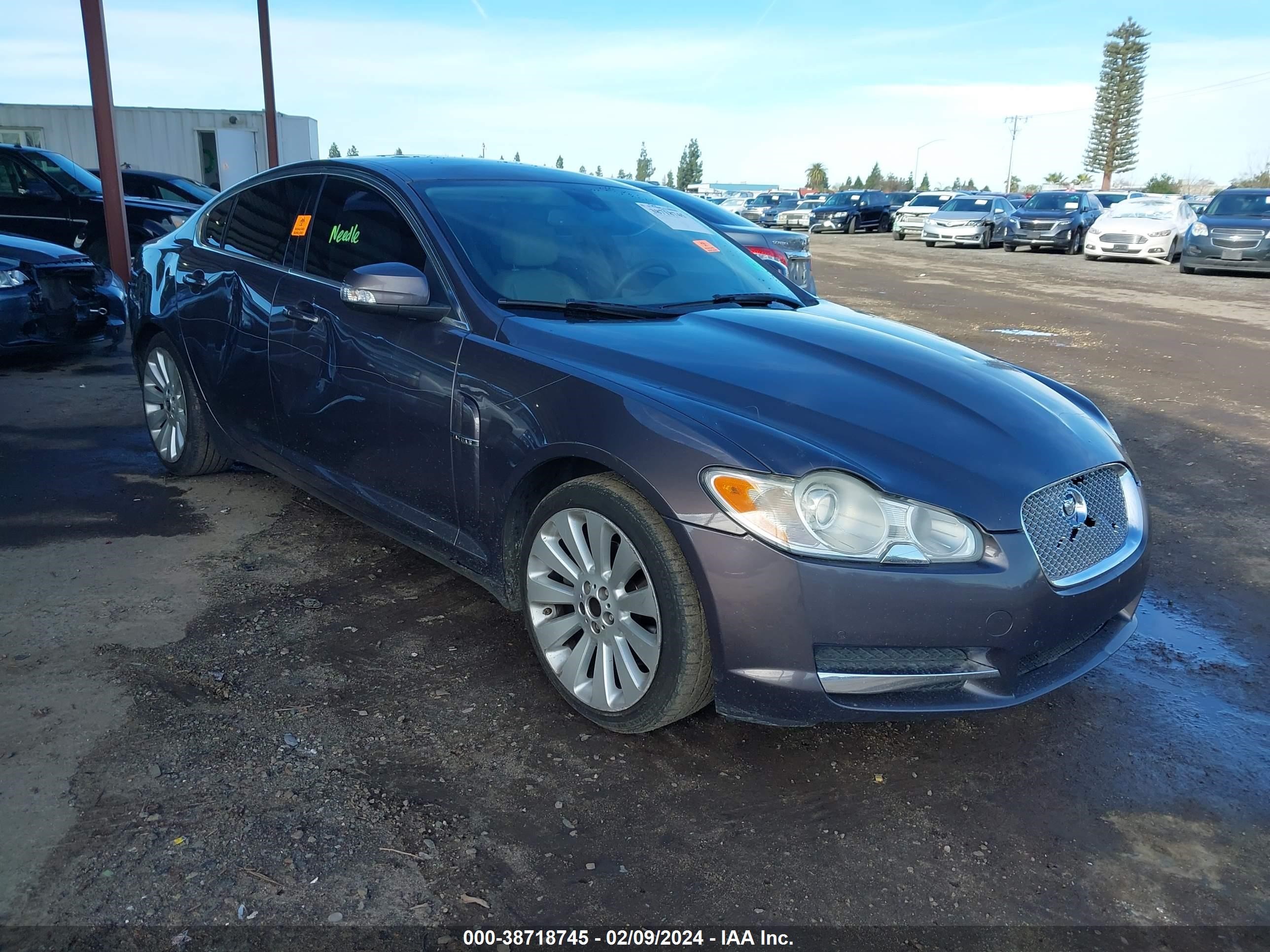 JAGUAR XF 2009 sajwa06b89hr43513