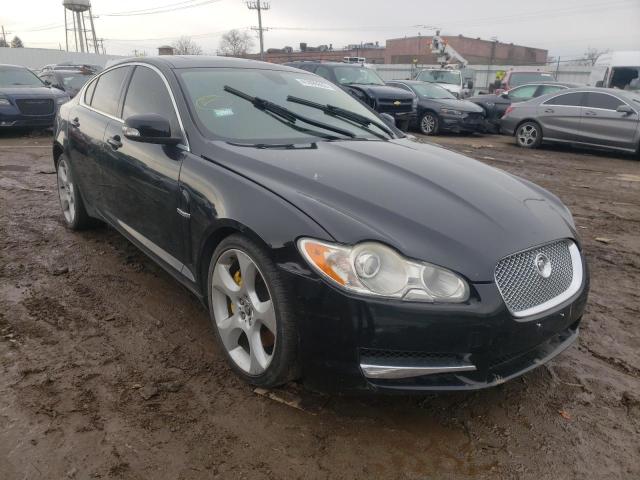 JAGUAR XF SUPERCH 2009 sajwa07c591r24059