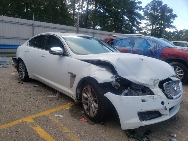 JAGUAR XF 2013 sajwa0e71d8s63037