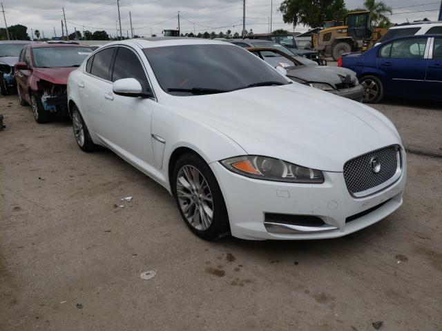 JAGUAR XF 2013 sajwa0e73d8s95326