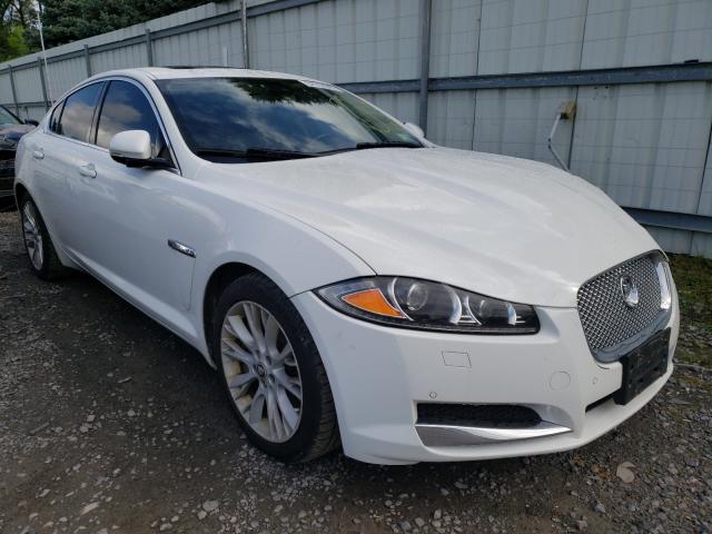 JAGUAR XF 2013 sajwa0e77d8s62782