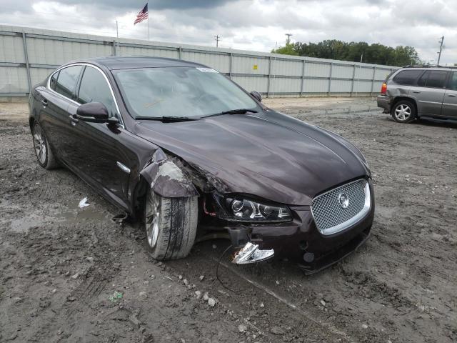 JAGUAR XF 2013 sajwa0e79d8s91538