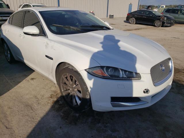 JAGUAR XF 2013 sajwa0es0dps73259