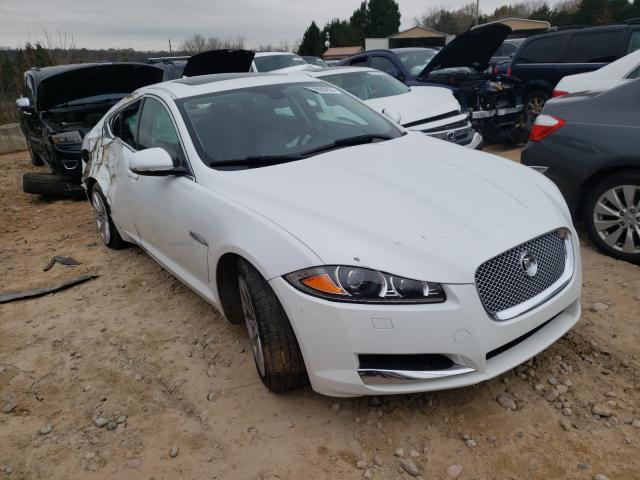 JAGUAR XF 2013 sajwa0es1dps98560