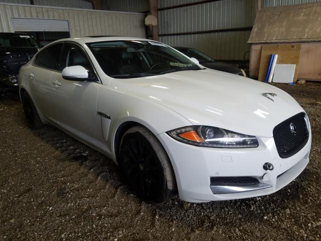 JAGUAR XF 2013 sajwa0es4dps64726