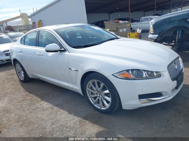 JAGUAR XF 2013 sajwa0es4dps67321