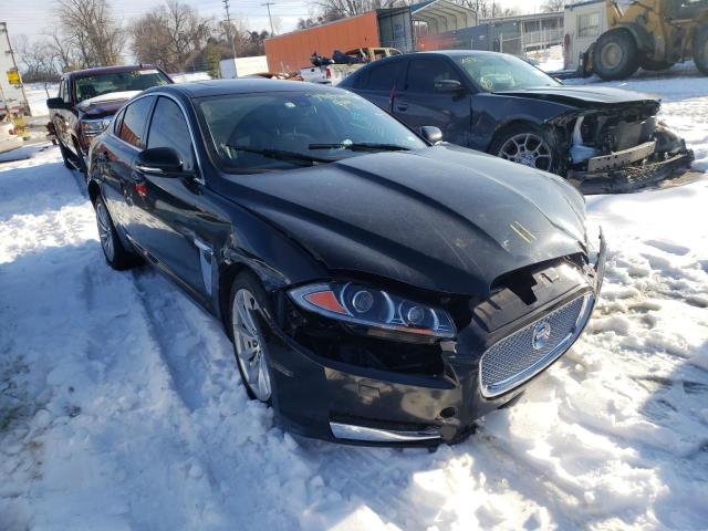 JAGUAR XF 2013 sajwa0es5dps63939