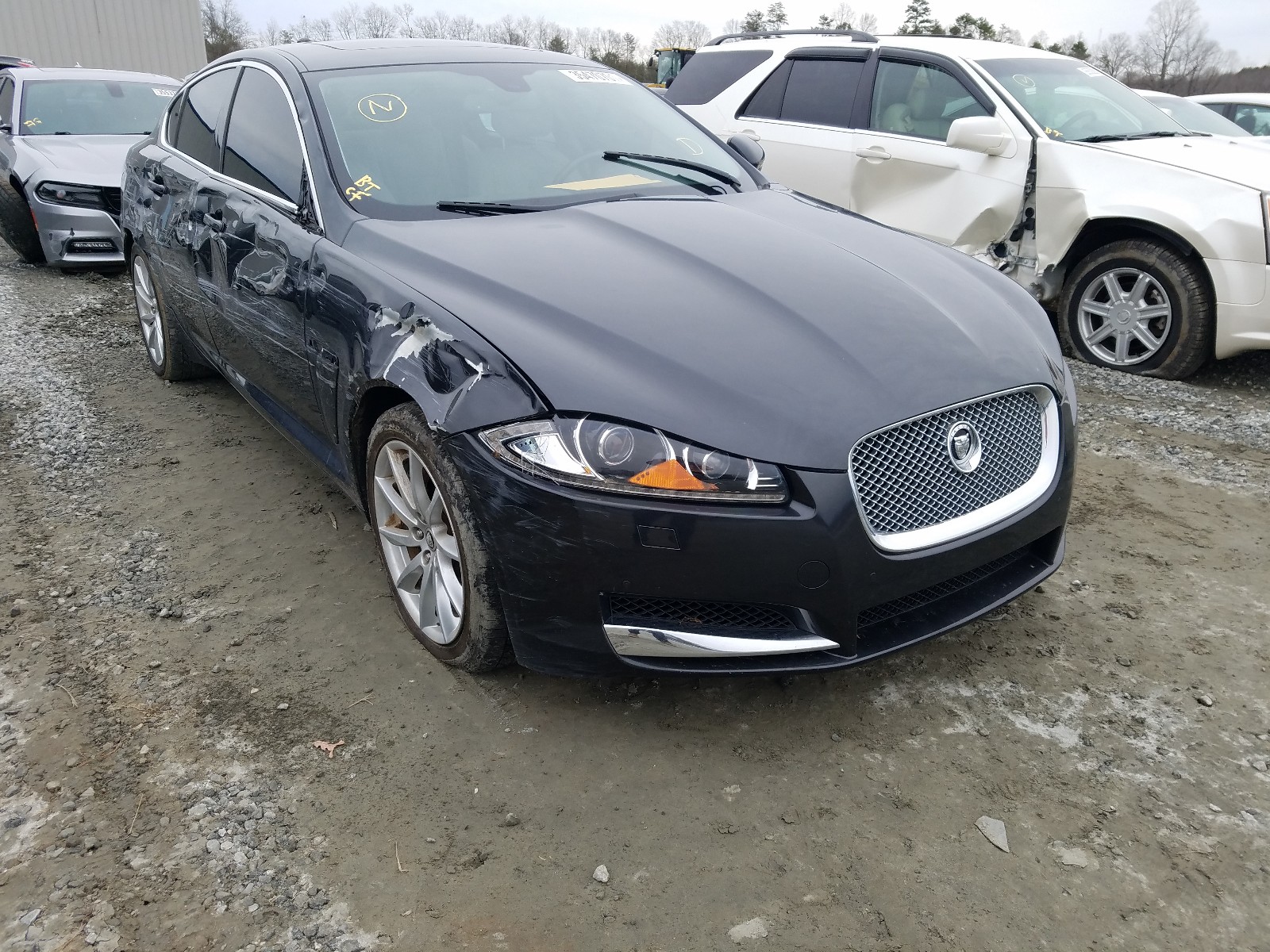 JAGUAR XF 2013 sajwa0es7dps65269