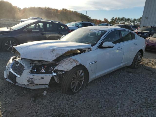 JAGUAR XF 2013 sajwa0es9dps64334