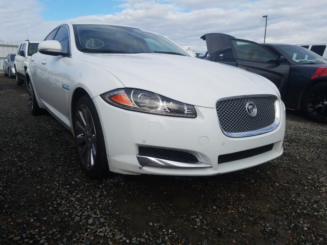 JAGUAR XF 2013 sajwa0es9dps73065