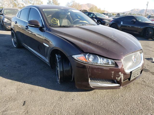 JAGUAR XF 2014 sajwa0ex9e8u33209