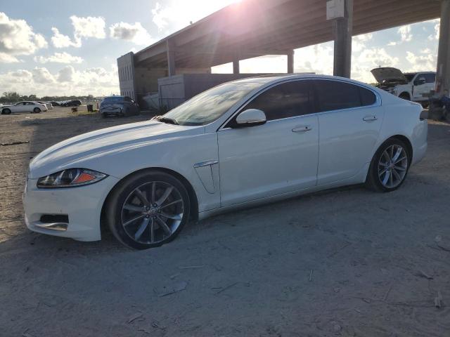 JAGUAR XF 3.0 SPO 2015 sajwa0f74f8u57935