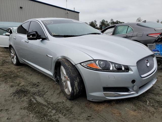 JAGUAR XF 3.0 SPO 2015 sajwa0f74f8u59166