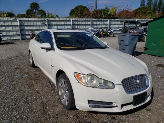 JAGUAR XF LUXURY 2010 sajwa0fa0ahr54159