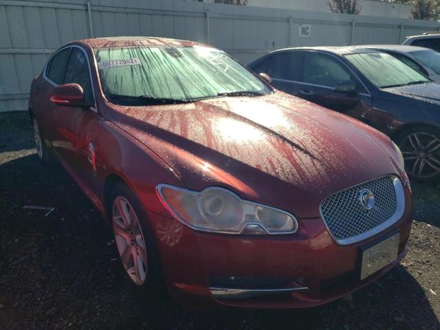 JAGUAR XF LUXURY 2010 sajwa0fa2ahr55894