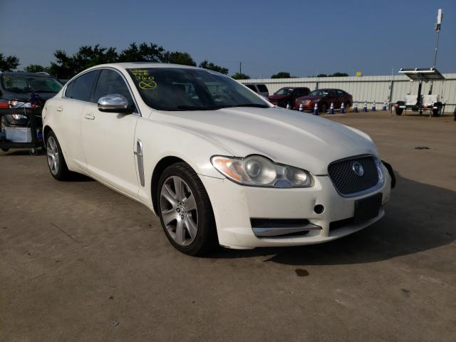 JAGUAR XF LUXURY 2010 sajwa0fa6ahr57552