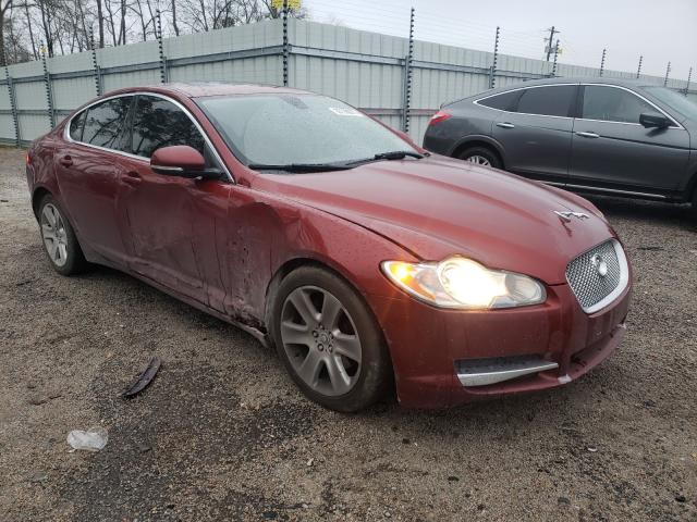 JAGUAR XF LUXURY 2010 sajwa0fa6ahr61911