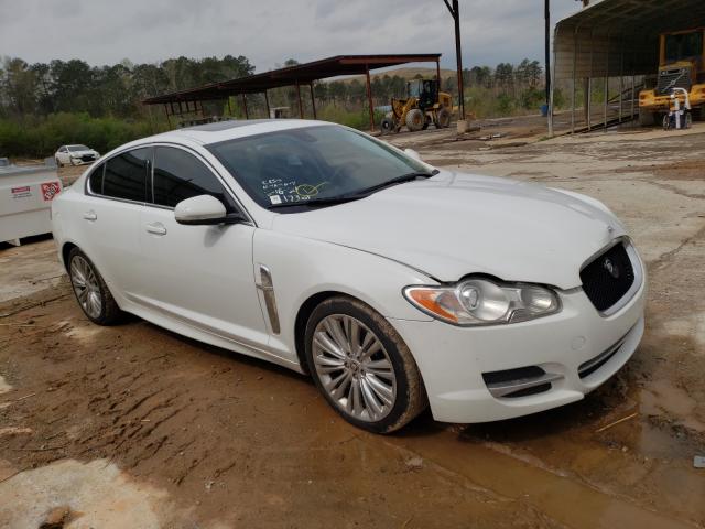 JAGUAR XF 2011 sajwa0fb0bls12884