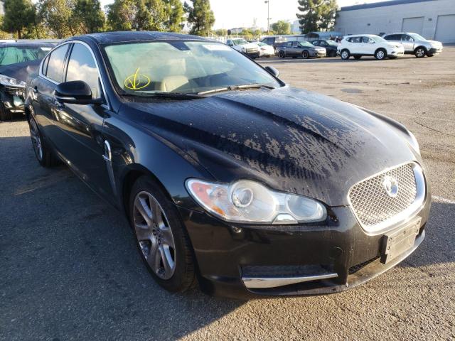 JAGUAR XF 2011 sajwa0fb3blr93531