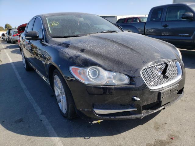 JAGUAR XF 2011 sajwa0fb3bls13351