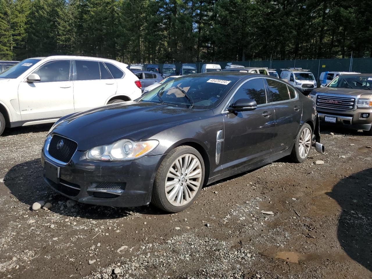 JAGUAR XF 2011 sajwa0fb4bls13892