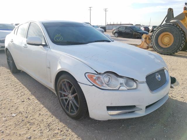 JAGUAR XF 2011 sajwa0fbxblr97480