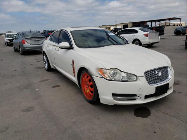 JAGUAR XF PREMIUM 2010 sajwa0gb0alr53680