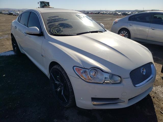 JAGUAR XF 2010 sajwa0gb0alr58877