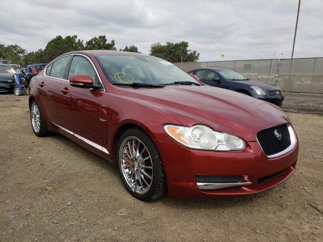 JAGUAR XF PREMIUM 2011 sajwa0gb0blr82131