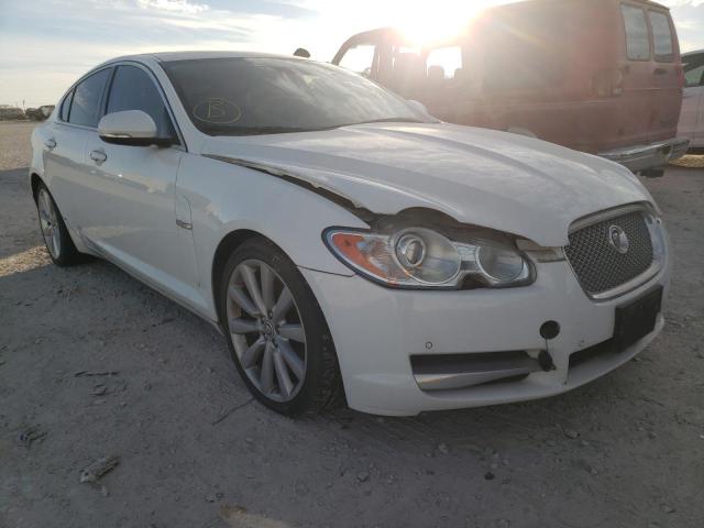 JAGUAR XF PREMIUM 2011 sajwa0gb0blr82467