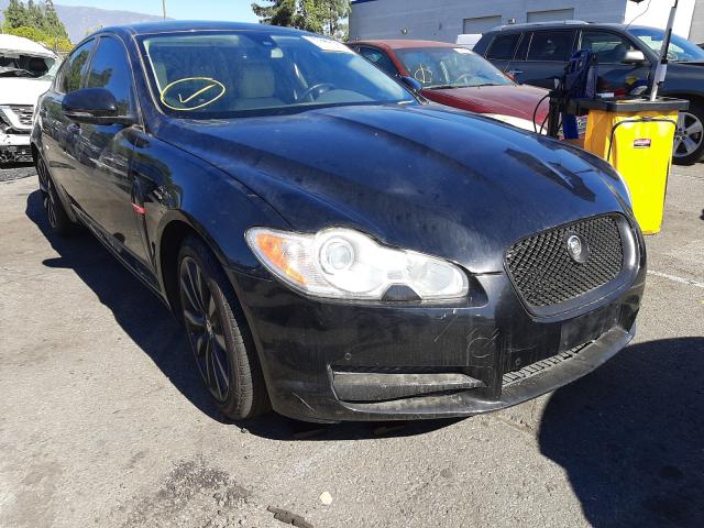 JAGUAR XF PREMIUM 2011 sajwa0gb0blr86289