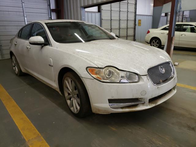 JAGUAR XF PREMIUM 2011 sajwa0gb1blr86009