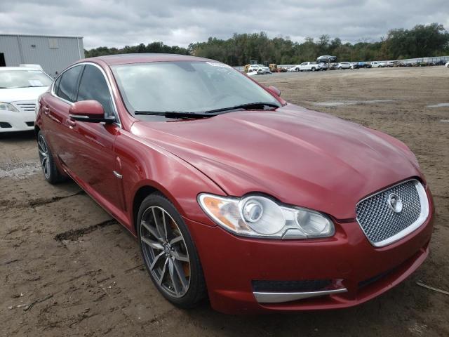 JAGUAR XF 2011 sajwa0gb1bls18465