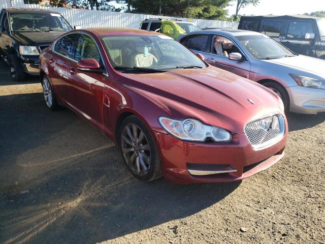 JAGUAR XF PREMIUM 2010 sajwa0gb2alr51946