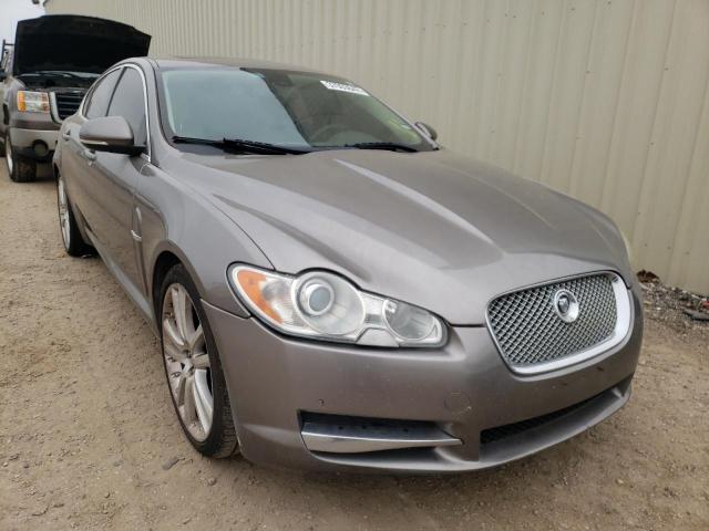 JAGUAR XF PREMIUM 2010 sajwa0gb2alr78452