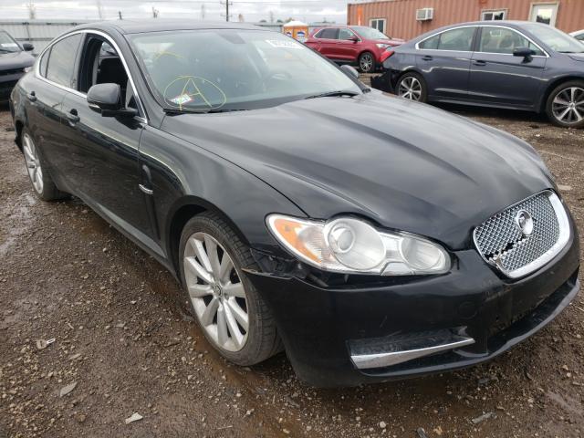 JAGUAR XF PREMIUM 2011 sajwa0gb2blr88660