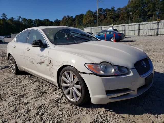 JAGUAR XF PREMIUM 2010 sajwa0gb3alr52989