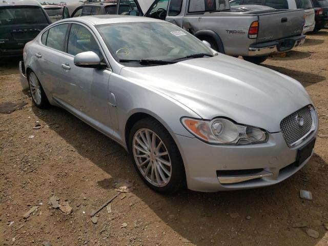 JAGUAR XF PREMIUM 2010 sajwa0gb3alr55018