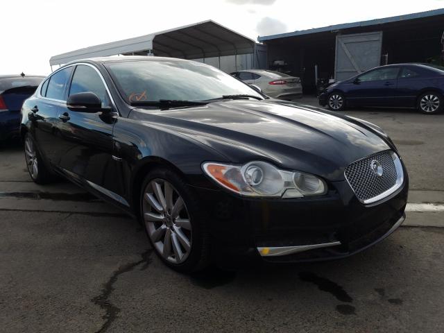 JAGUAR XF PREMIUM 2011 sajwa0gb3blr94189