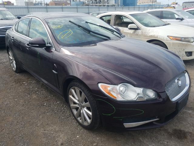 JAGUAR XF PREMIUM 2011 sajwa0gb3blr95228