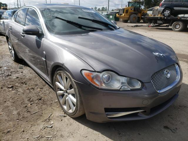 JAGUAR XF PREMIUM 2010 sajwa0gb4alr58168