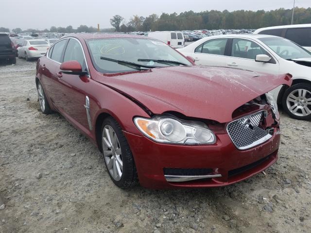 JAGUAR XF PREMIUM 2010 sajwa0gb4alr64374