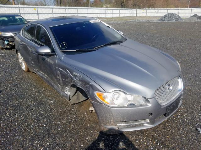 JAGUAR XF PREMIUM 2010 sajwa0gb4alr78307