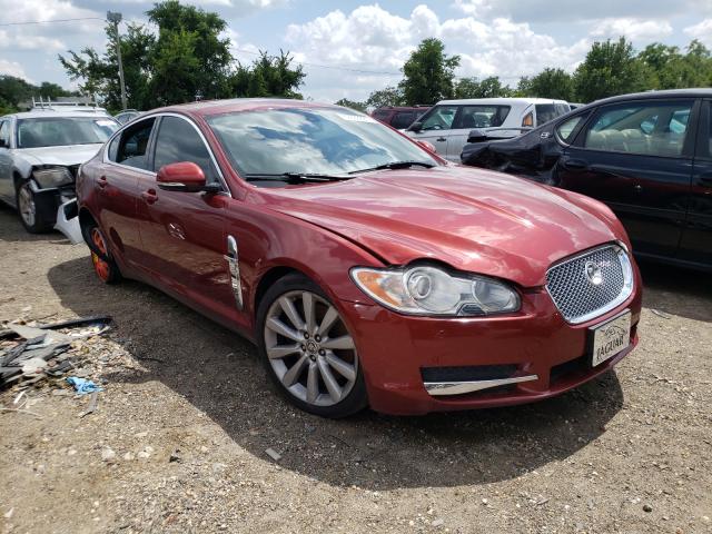 JAGUAR XF PREMIUM 2011 sajwa0gb4blr85839