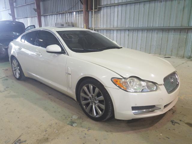 JAGUAR XF PREMIUM 2010 sajwa0gb5alr53660