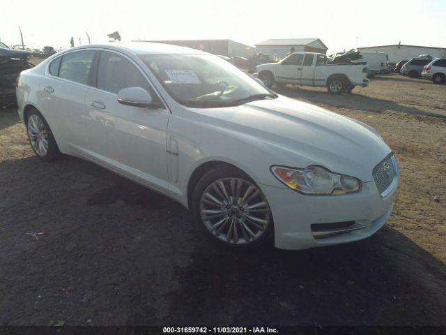 JAGUAR XF 2011 sajwa0gb5blr87583