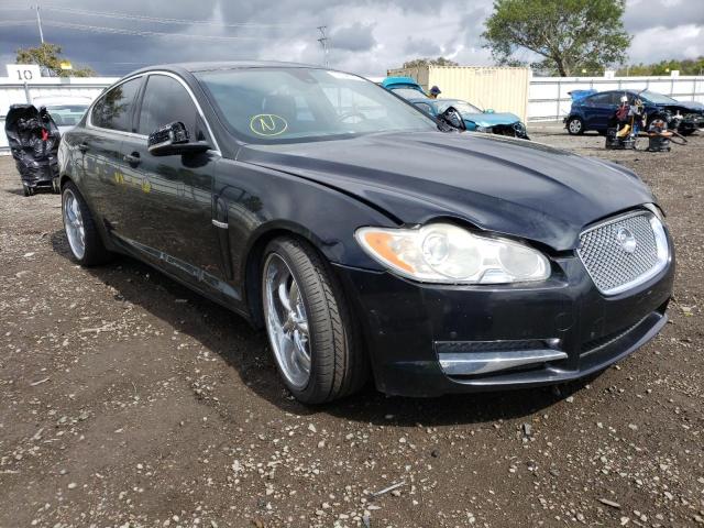 JAGUAR XF PREMIUM 2011 sajwa0gb5bls08828