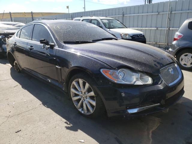 JAGUAR XF PREMIUM 2011 sajwa0gb5bls19182