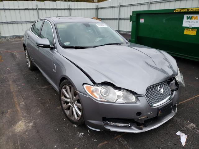 JAGUAR XF PREMIUM 2011 sajwa0gb5bls20025